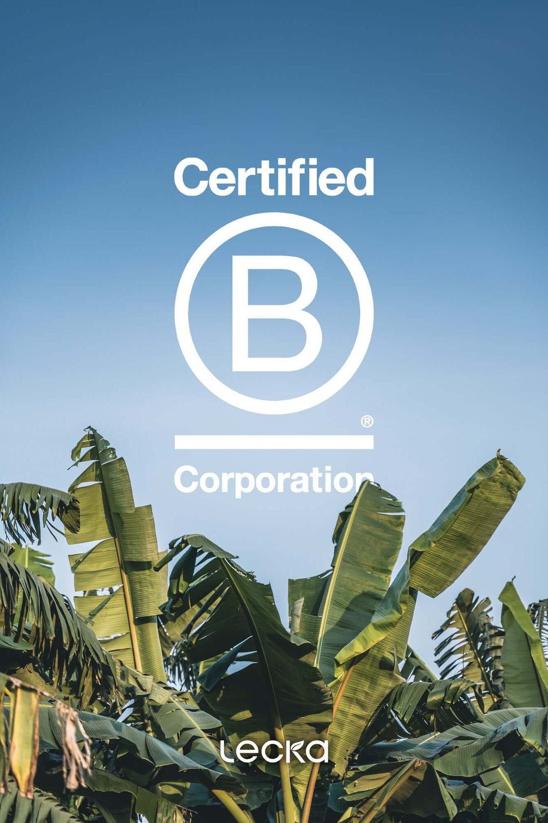 Lecka x B Corporation - Lecka