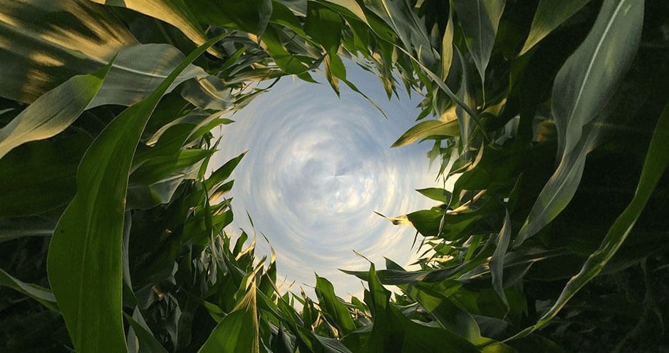 Our packaging story - act more in a circular way - Lecka